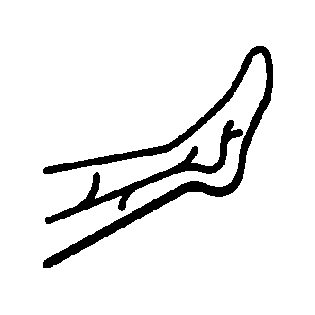 Flebología