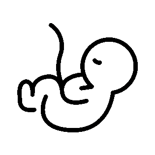 Medicina Materno Fetal
