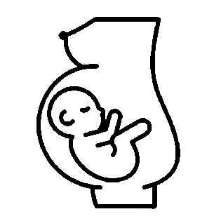 Obstetricia